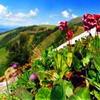 Burkhatskiy Pass. Kazakhstan nature