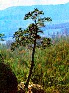 Karaganda Region. Kazakhstan cities