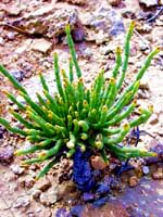 Karagie Depression. Kazakhstan regions. Pictorial sights of Kazakhstan
