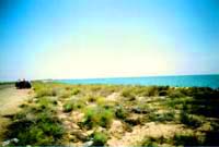 Caspian Sea. Kazakhstan ecology