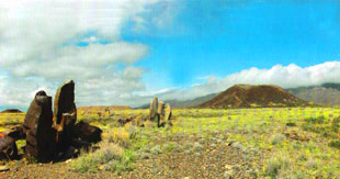 Nature of Southern Kazakhstan. Kazakhstan photos