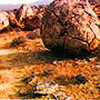 Western Kazakhstan region