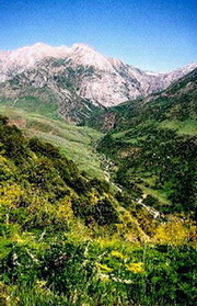 Aksu-Dzhabagly. Kazakhstan photos