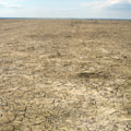 Travelling at the Aral Sea