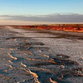 Travelling at the Aral Sea
