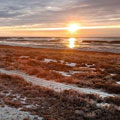 Travelling at the Aral Sea